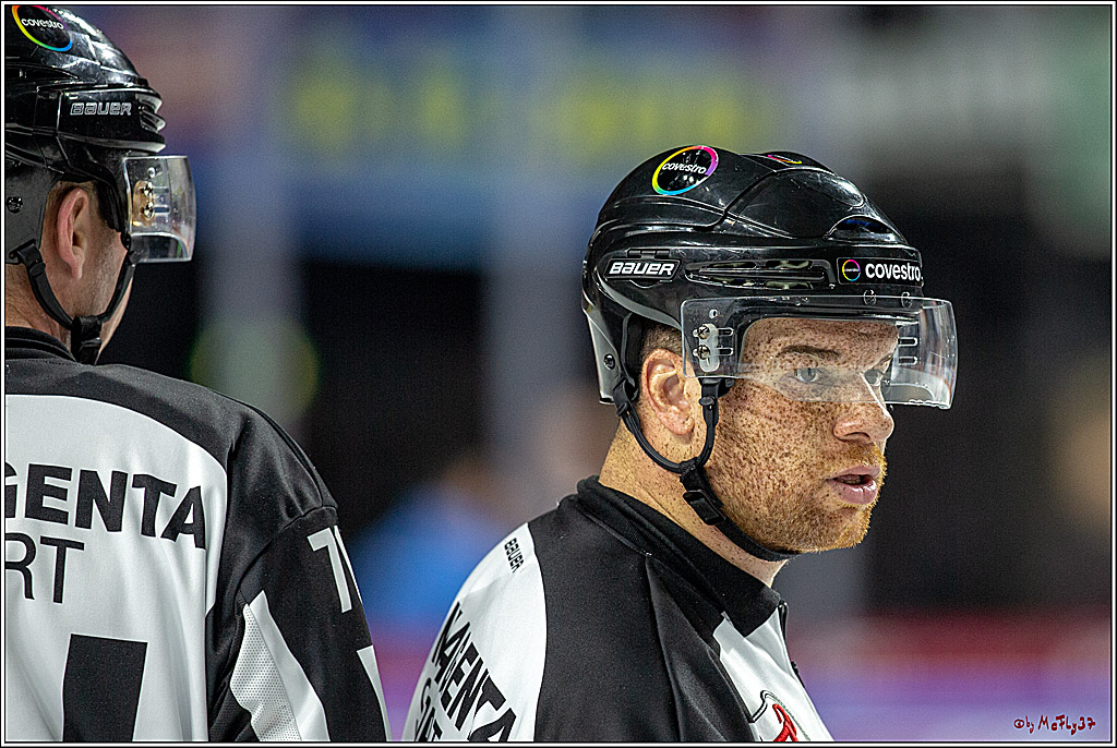 DEL; Koelner Haie - EHC Red Bull Muenchen, 17.02.2019